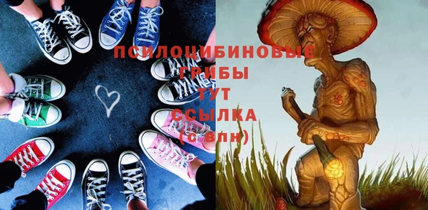 прущий лед Корсаков