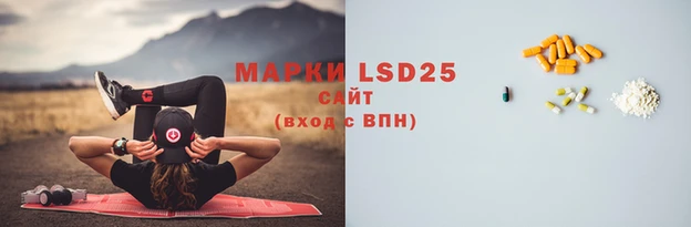 прущий лед Корсаков